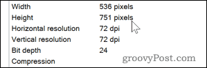 DPI-detaljer för en bild på Windows