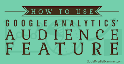 Google Analytics-publik