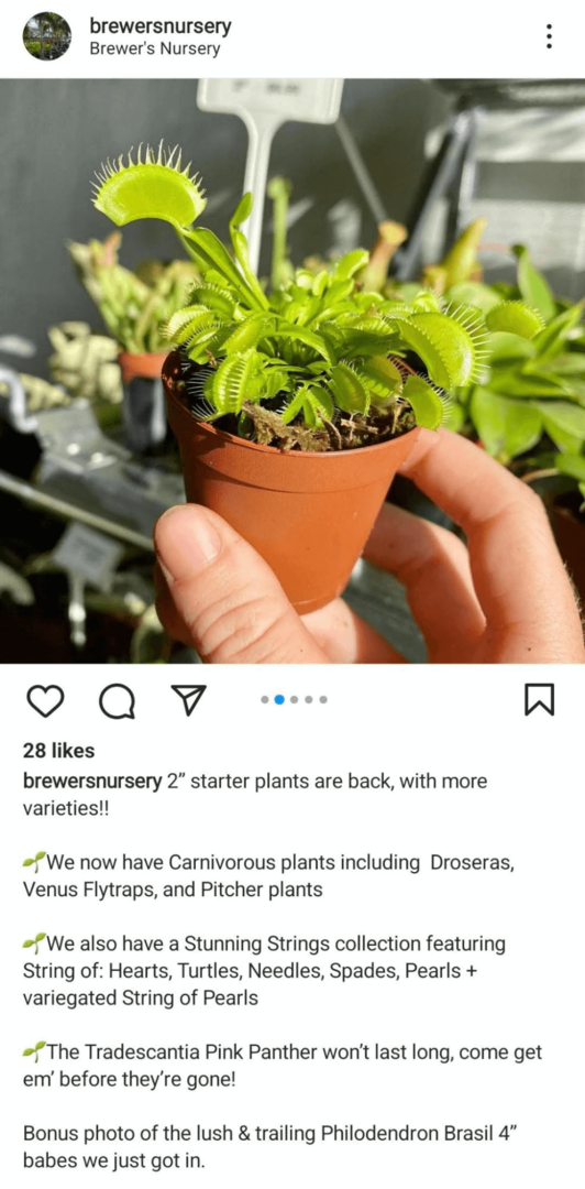 bild av Instagram-flödesinlägg som visar en produkt