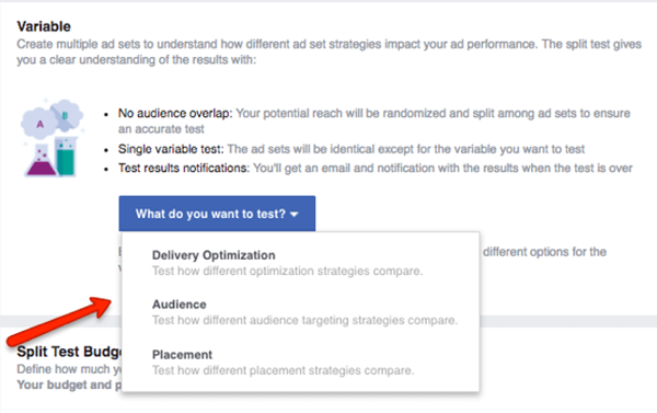 Välj vilken variabel som ska testas i din Facebook-kampanj.