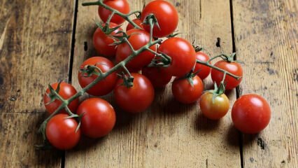 Hur kan man förhindra rutt av tomat? Hur kan man förhindra tomatmal? 
