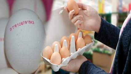Hur förstås ekologiskt ägg? Vad betyder äggets koder?