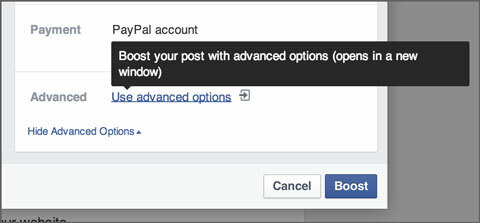 facebook avancerade alternativ i annonser