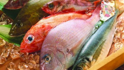 Effekter av fisk på immunitet! Vilka är fördelarna med fisk? Hur konsumerar jag den friskaste fisken?