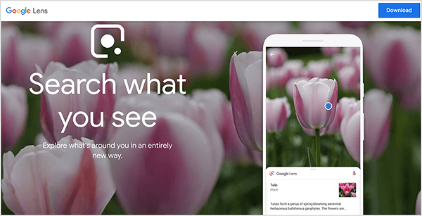 Detta är en skärmdump av Google Lens webbplats. En vit stapel visas högst upp på webbplatsen. Till vänster står namnet Google Lens. Till höger finns en blå nedladdningsknapp. Webbplatsens huvudsakliga område har en fotobakgrund som visar blommorna av rosa rosa tulpaner. Till vänster, över bakgrundsbilden, visas en vit Google Lens-logotyp tillsammans med följande text: "Sök vad du ser" och "Utforska vad som finns runt dig på ett helt nytt sätt". Till höger visar en simulering av en smartphone att Google Lens-appen identifierar en tulpan. Mike Rhodes säger att Google Lens är ett exempel på artificiell intelligens.