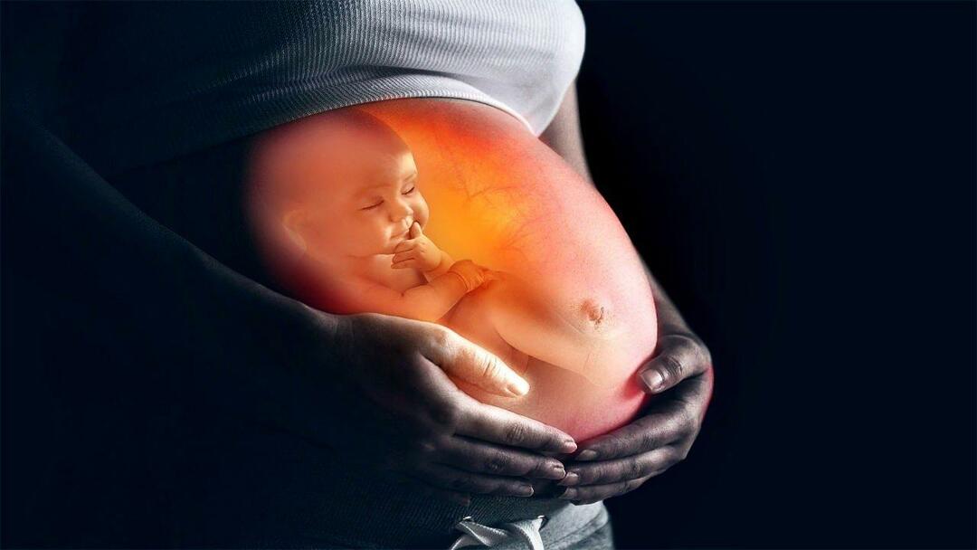 Hur man matar barnet i livmodern från mamman