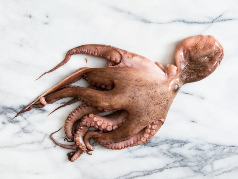 Hur rengör och kokar bläckfisk hemma? Den enklaste tekniken för bläckfiskmatlagning