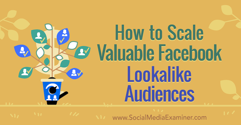 Hur man skalar värdefulla Facebook Lookalike-målgrupper av Yahav Hartman på Social Media Examiner.