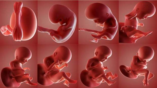 Går ett namn till barnet som dog i livmodern?