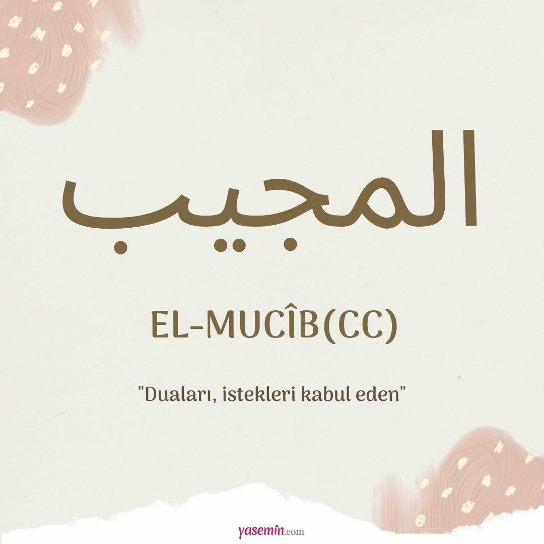 Vad betyder al-Mujib (cc)?