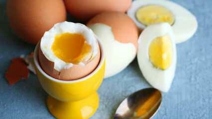 Vilka är effekterna av att äta 2 ägg i sahur varje dag på kroppen?