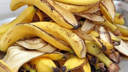 Vilka är fördelarna med banan? Hur många bananer finns det? Okänd användning av bananskal! 