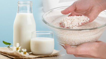 Hur förbereder man fettförbränd rismjölk? Bantningsmetod med rismjölk