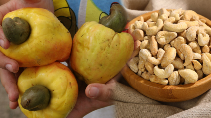 Vilka är fördelarna med cashewnötter? Saker att veta om cashewnötter, som positivt påverkar ögons hälsa ...
