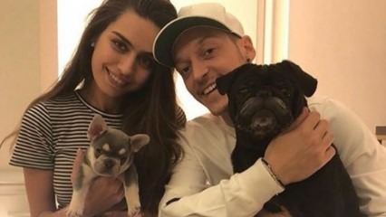 Mesut Özil firar sin fästmö Amine Gülşe födelsedag