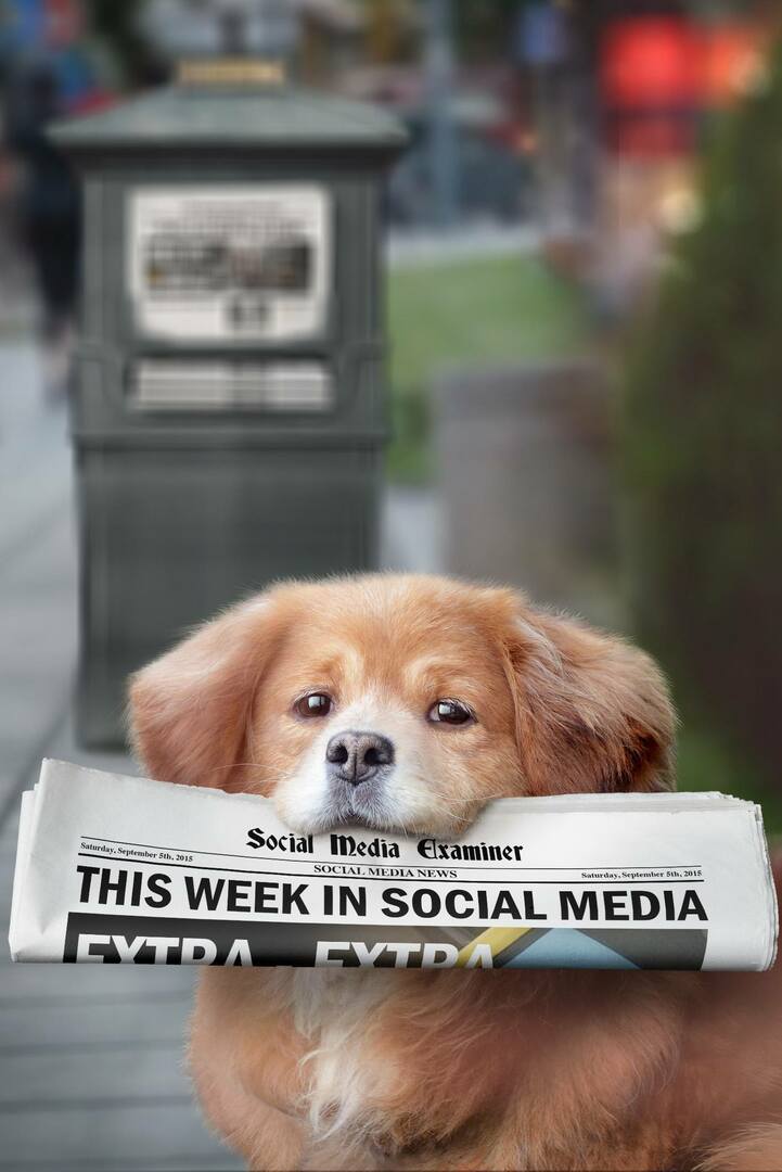 Meerkat introducerar Live Hashtags: Denna vecka i sociala medier: Social Media Examiner