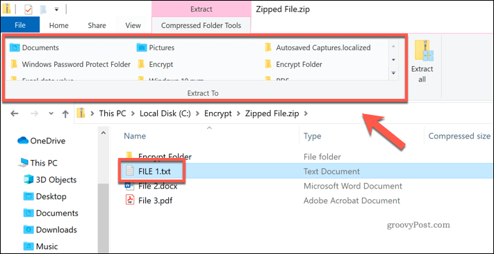 Extrahera en enskild fil från en zip-fil i Windows File Explorer