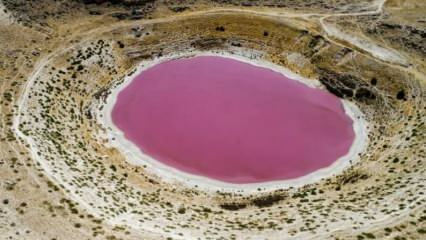 Färgen på Meyil Obruk Lake har blivit rosa!