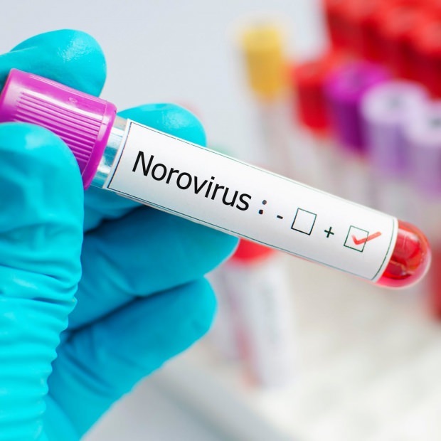 Vad är norovirus och vilka sjukdomar orsakar