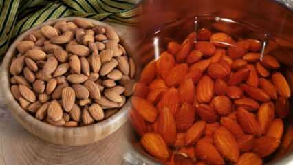 Hur många kalorier är mandlar? Rå mandlar eller rostade mandlar försvagas? Viktminskning genom att äta mandlar