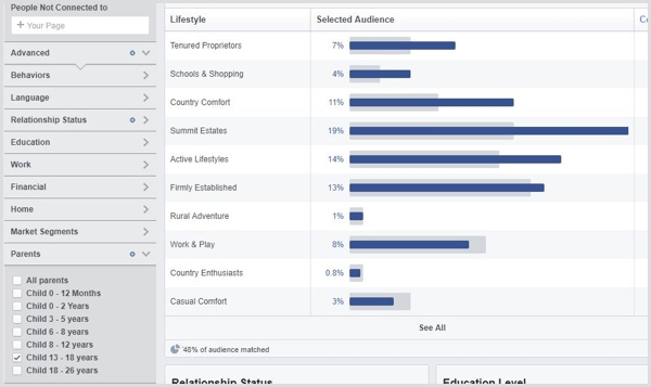 Visa Facebook Audience Insights för en anpassad publik.
