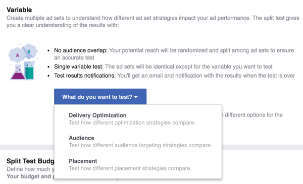 Välj variabeln du vill testa med din Facebook-annons.