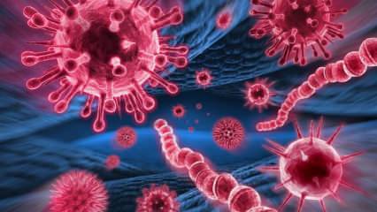 Vad är Mers-viruset? Vilka är symtomen på Mers-viruset? Hur överförs Mers-viruset?