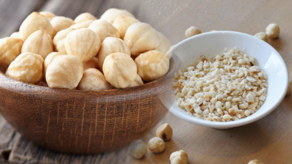 Vilka är fördelarna med hasselnötter? Vad är hasselnötsskal och olja bra för? Om du äter rå hasselnötter ...