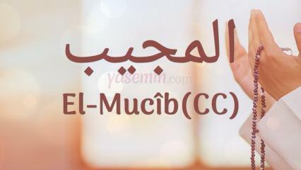 Vad betyder al-Mujib (c.c)? Vilka är fördelarna med namnet Al-Mujib? Esmaul Husna Al-Mujib...
