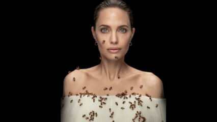 Angelina Jolie i lins med bin för bin!