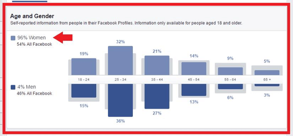 Analysera Audience Insights-data för din målgrupp.