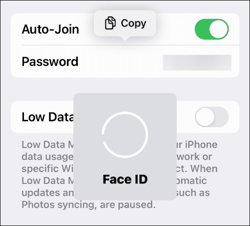 Visa sparade lösenord för Wi-Fi-nätverk på iPhone