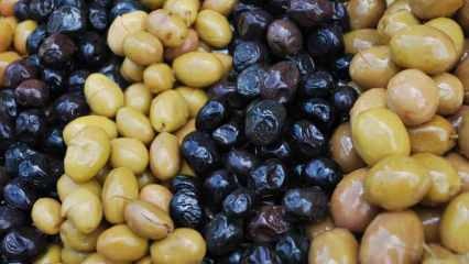 Hur känner man igen falska oliver? Hur får oliv svart färg? För att mörka olivoljan ...
