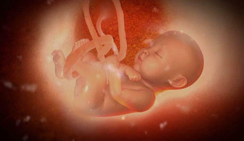 bebis i livmodern