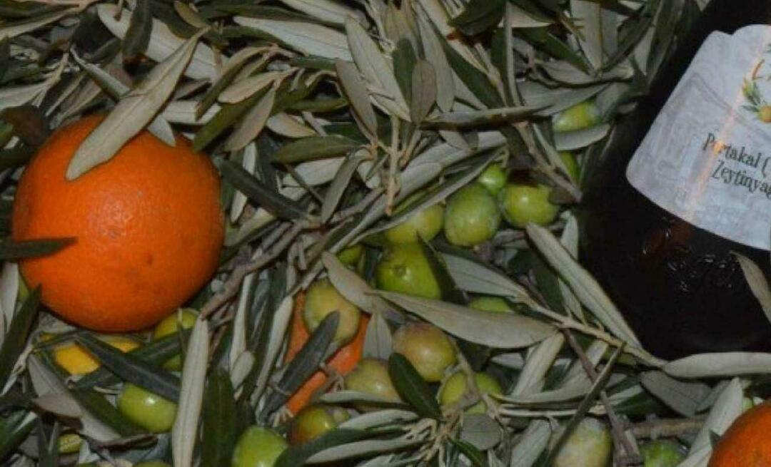 Kvinnliga entreprenörer från Balıkesir producerade orange olivolja!