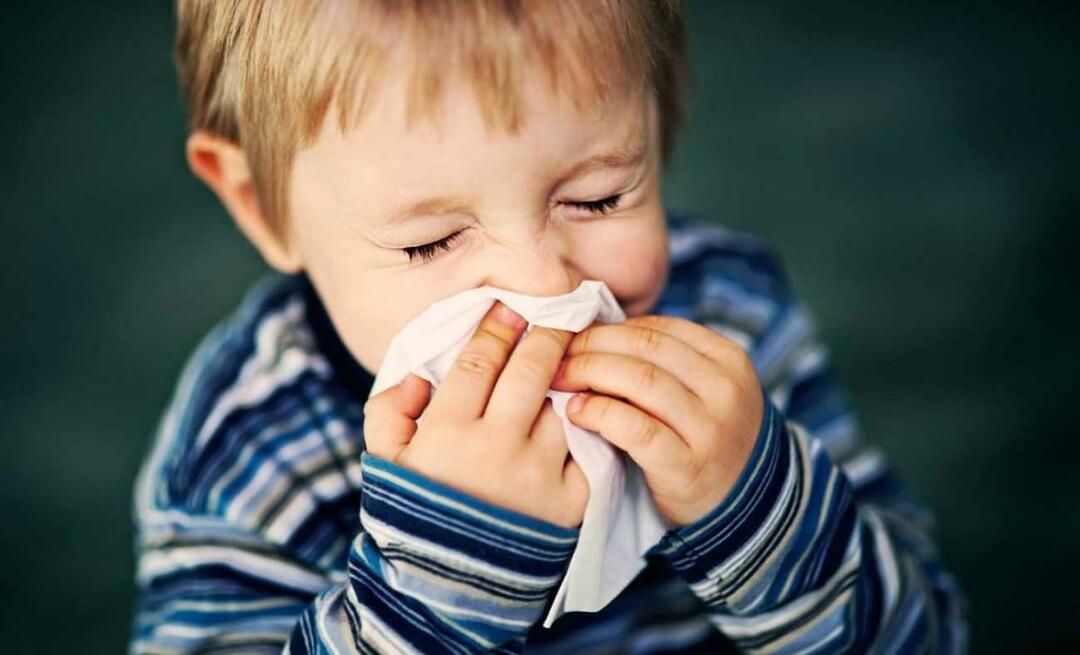Vad är säsongsbunden allergi hos barn? Blandar det sig med kyla? Vad är bra för säsongsbetonade allergier?