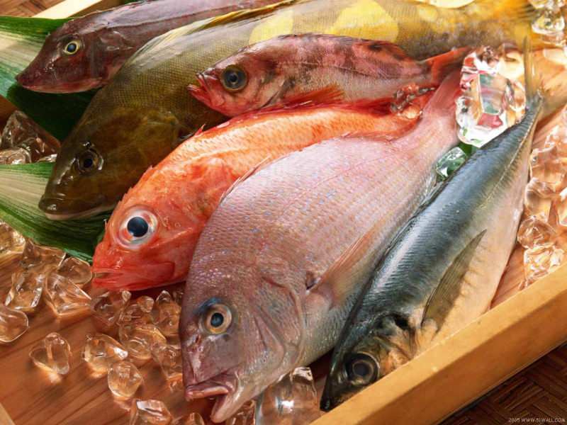Tips för att välja färsk fisk från Masterchef-juryn Mehmet Chef