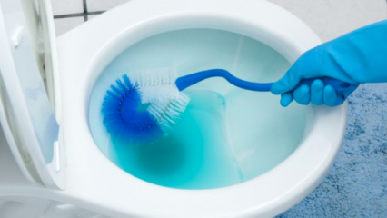 Hur rengör du en toalettborste? 