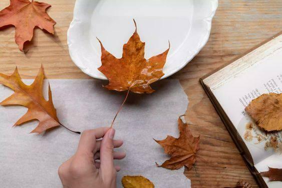 Att göra dekorativa skålar av löv
