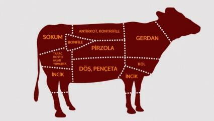 Vilka är delarna av nötkött? Vilket kött skärs från vilken region?