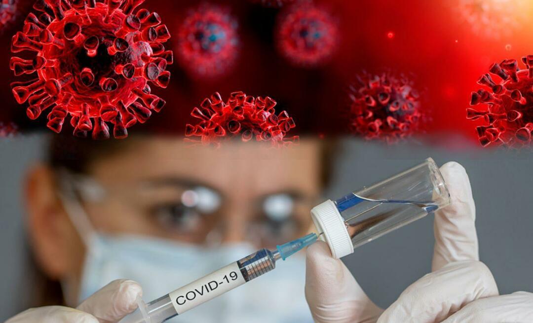 Ligger det inom människors rätt att inte vaccineras mot epidemiska sjukdomar? Ordförandeskapet för religiösa frågor meddelade