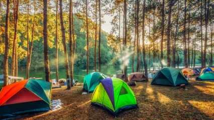 De bästa campingvägarna för hösten! De vackraste campingområdena där du kan slänga tält på hösten
