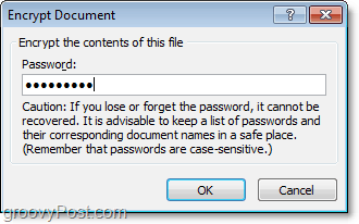 skapa ett lösenord för ditt Office 2010-dokument