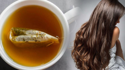 Vilka är fördelarna med grönt te för hår? Grön te hud mask recept