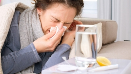 Vilka livsmedel är bra för förkylningar och influensa? 5 livsmedel som förhindrar influensa ...
