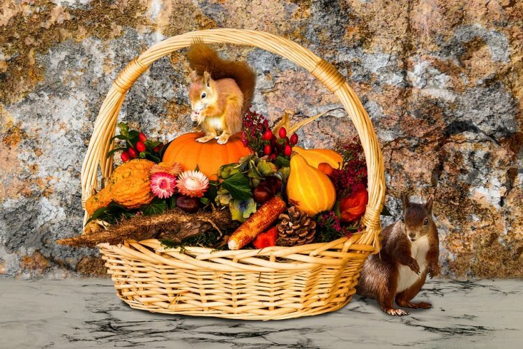 5 föremål som kommer att ge ditt hem skönhet under hösten!