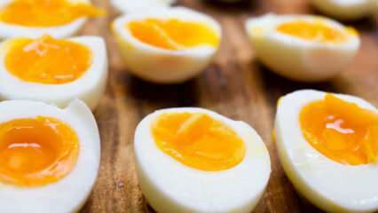 Hur ska det kokta ägget förvaras? Tips för perfekt äggkokning