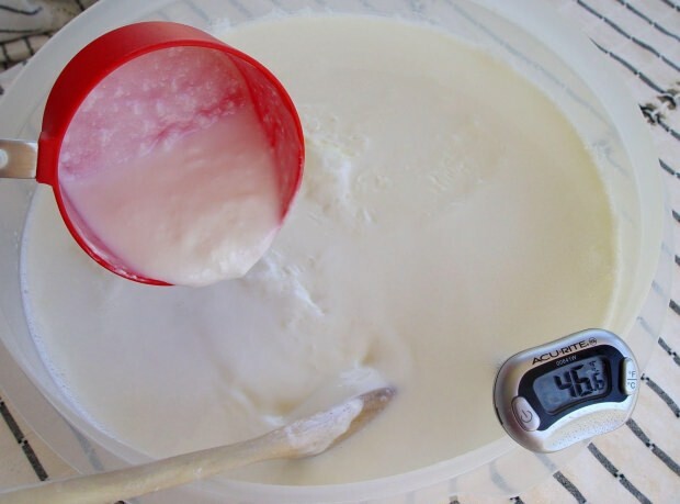 hemlagad yoghurt