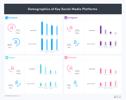 demografi för sociala medier