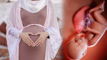 Böner som ska läsas för att hålla barnet friskt och påminnelser om graviditet